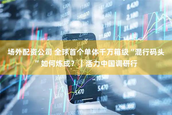 场外配资公司 全球首个单体千万箱级“混行码头”如何炼成？｜活力中国调研行