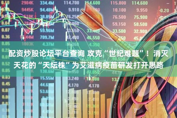 配资炒股论坛平台查询 攻克“世纪难题”！消灭天花的“天坛株”为艾滋病疫苗研发打开思路