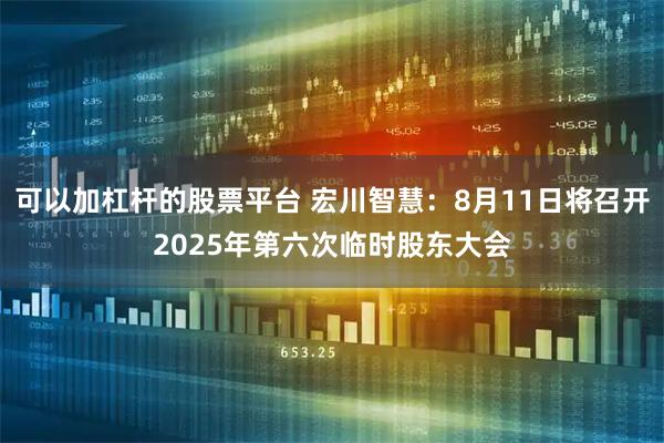 可以加杠杆的股票平台 宏川智慧：8月11日将召开2025年第六次临时股东大会